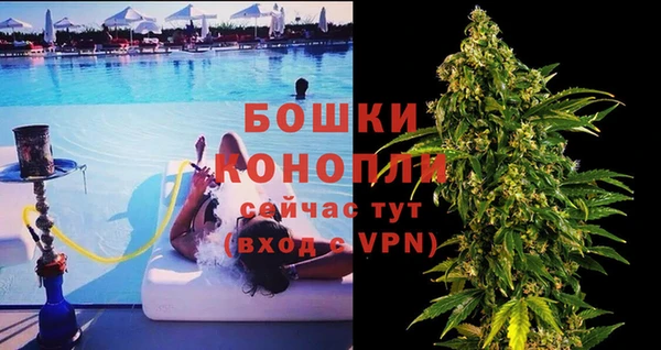 шишки Алзамай