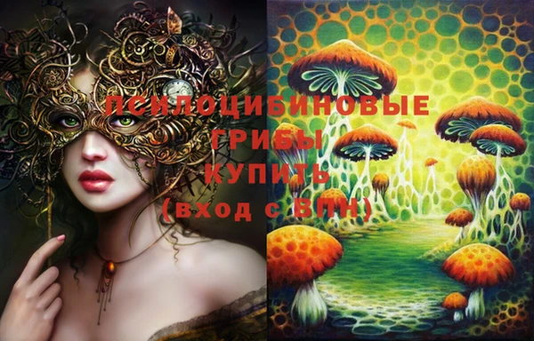 ГАЛЛЮЦИНОГЕННЫЕ ГРИБЫ Алексин