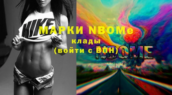 шишки Алзамай