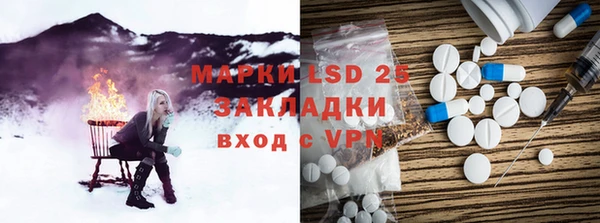 ГАЛЛЮЦИНОГЕННЫЕ ГРИБЫ Алексин