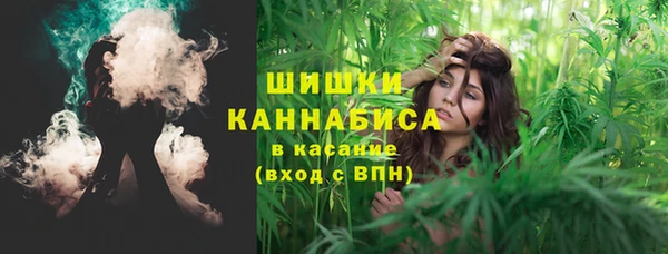 шишки Алзамай