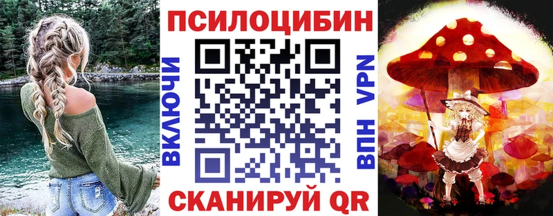 цена наркотик  Порхов  Галлюциногенные грибы Magic Shrooms 